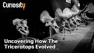 CuriosityStream Montana’s Hell Creek: Dinosaur History Unearthed