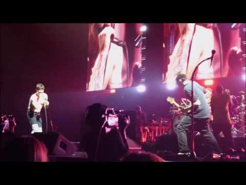 RHCP - I Wanna Be Your Dog Cover + Right On Time - San Diego, CA (SBD audio)