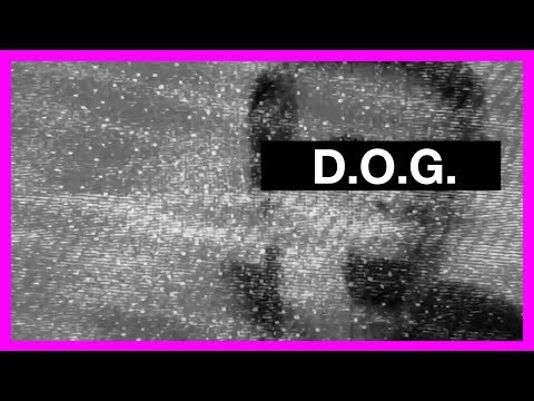 Patrick McCallion | D.O.G. (Official Lyric Video)