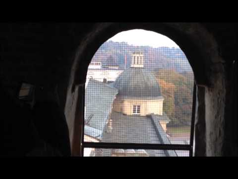 Vilnius Cathedral Bells Ringing & City V