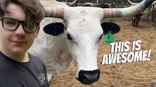 Up Close With TIPSY! @DossFarm