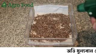 Chia Seed ইনশাআল্লাহ্‌ আপনি আপনার যৌ'ন সমস্যার শতভাগ সমাধান পাবেন
