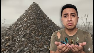 El DÍA que DESAPARECEN todos los INSECTOS: Adiós a $500,000 millones y la vida.