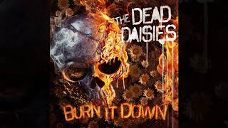 The Dead Daisies - Bitch