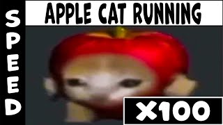 Apple Cat Running Speed X100 (Gradual Accseleration)