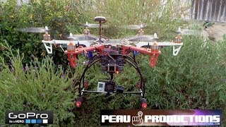 preview picture of video 'Hexacopter at a park - GoPro Hero 3 Black - 2.97mm lens'