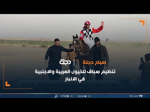 شاهد بالفيديو.. تنظيم سباق للخيول العربية والاجنبية في الانبار