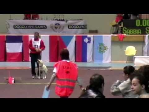 Dog Olympic Games 2010 -  finale rally obedience - Antonio e Sabbia