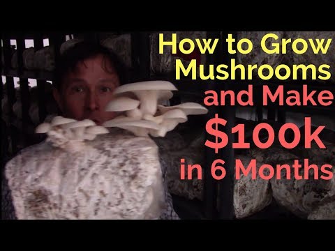 , title : 'How to Grow Mushrooms & Make $100,000 in just 6 Months'