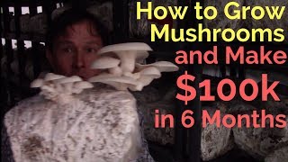 How to Grow Mushrooms &amp; Make $100,000 in just 6 Months