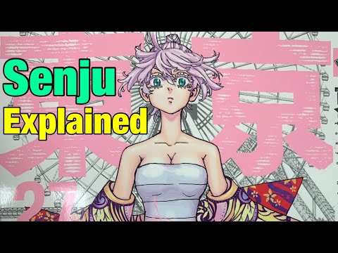 Kawaragi Senju explained Tokyo Revengers (English)