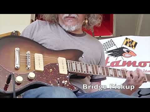 Custom Offset 12-String Guitar- Handbuilt in Baltimore- NOW SHIPPING image 9