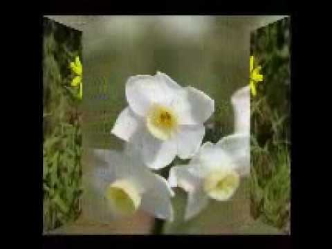 alam lohar   mein wekhda reh geya