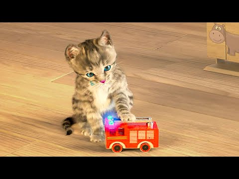 LITTLE KITTEN ALONE AT HOME - CUTE AND PLAYFUL KITTEN PLAYING AT HOME - SPECIAL CARTOON ANIMATION