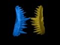 Jawless Vertebrate Had World S Sharpest Teeth