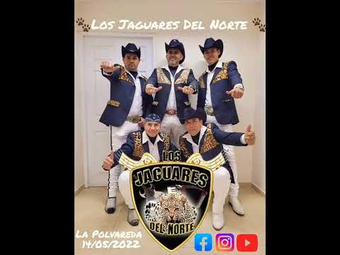 Los Jaguares Del Norte/ Dos Vicios-Sin Problemas en La Polvareda De Punitaqui