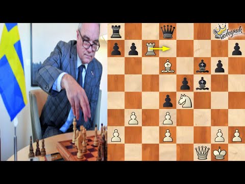 BRAVURA AMBASADORA - prelepa žrtva topa !