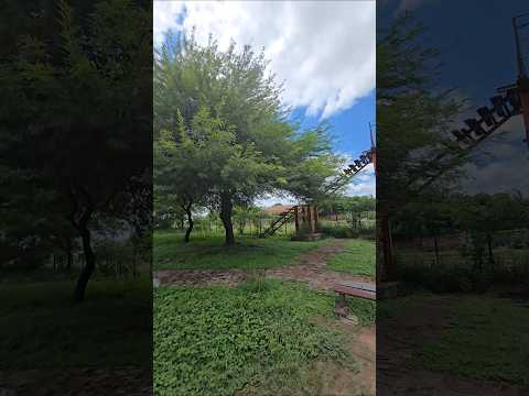 #MonteQuemado#SantiagoDelEstero#GranChaco#VidaRural#CulturaDelMonte#ArgentinaProfunda#CambáPorAhí