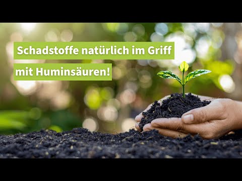 Schadstoffe natürlich im Griff mit Huminsäuren! 🌱