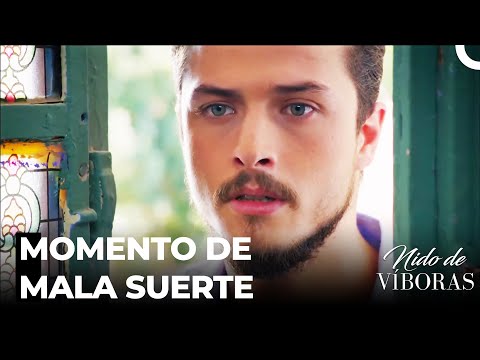 La Verdad Que Oyó Ejder - Nido De Víboras Capitulo 34 (Dobladas en Español)