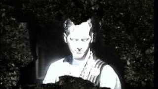 PSYCHIC TV  She Was Surprised