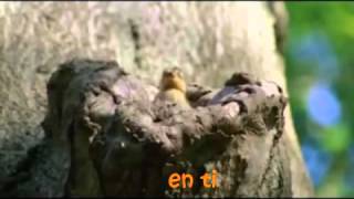 Marcela Gandara -valiente y esforzada