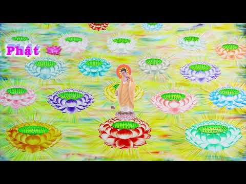 HD | Kinh A Di Đà Sớ Sao Diễn Nghĩa, tập 227 [phụ đề] - Lão Pháp Sư Tịnh Không