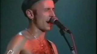 Platero y tu-Tras la barra