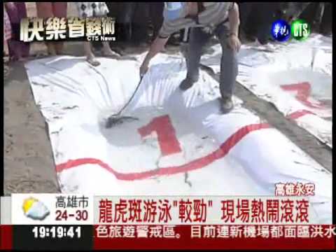 高雄永安音樂祭 石斑.鮮奶大放送