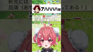 【桃鉄】漢字が読めなくて頭がおかしくなり、2人から総ツッコミされるあかりん #夢野あかり #赤見かるび #柊ツルギ 【ぶいすぽ/夢野あかり】