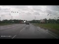 Лось выбежал на дорогу в городе Волхов 