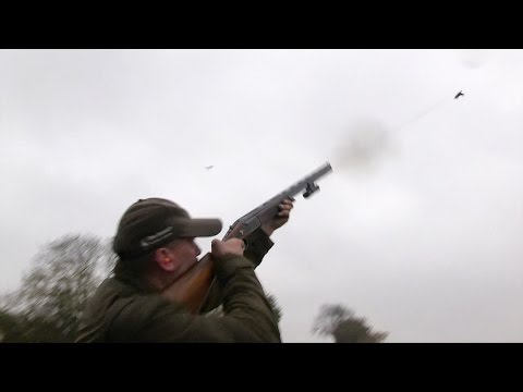 The Shooting Show - rainy driven pheasants in Essex