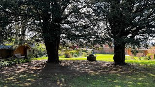 Discernment and the False-Light Matrix