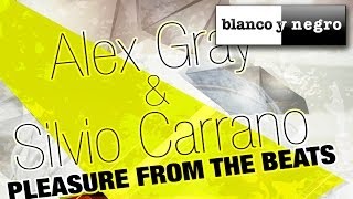 Alex Gray & Silvio Carrano - Pleasure From The Beats (90's Radio Mix)