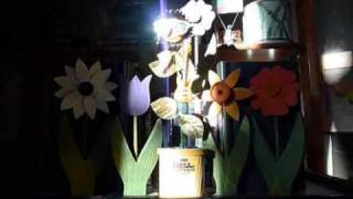 Dancing Flower - Campo Afuera - Joe Powers