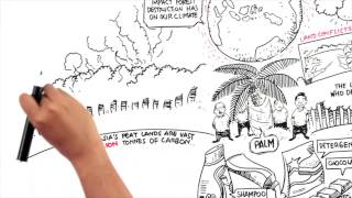 Protect Paradise: An Animation about Palm Oil
