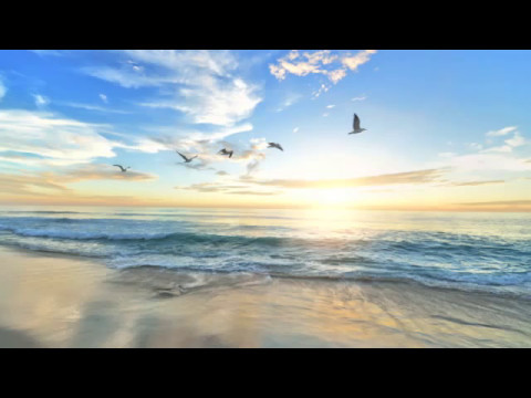 Sonno Profondo - di Carlo Lesma