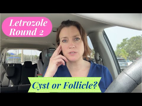 Another Cycle With Letrozole