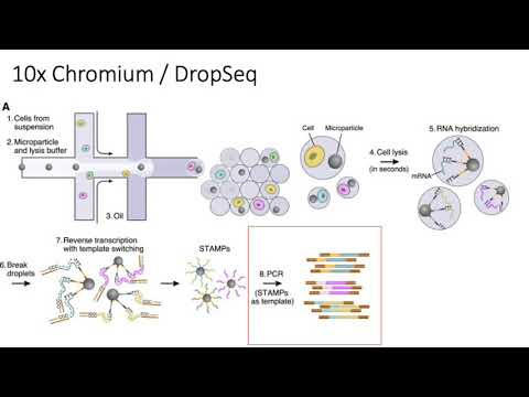MCB 182 Lecture 9.9 - scRNA-seq technologies
