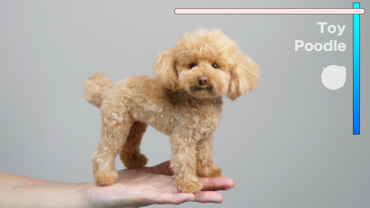 羊毛フェルトで作るトイプードル / Toy Poodle