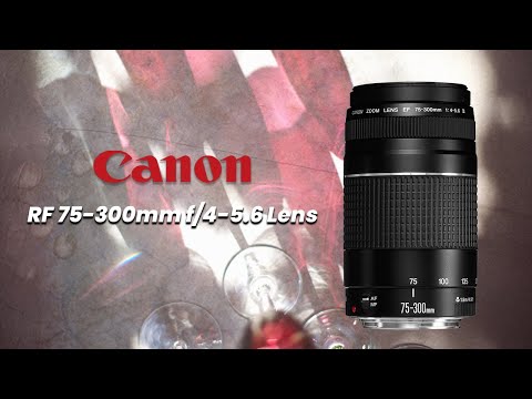 Canon RF 75-300mm f/4-5.6 – Best Budget Telephoto Lens?
