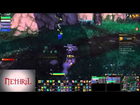 Niuzao Temple - Challenge Mode Gold Guide Guide - (Threlin / Monk Tank PoV)