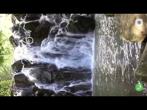 Real Nature Live Wallpaper Video