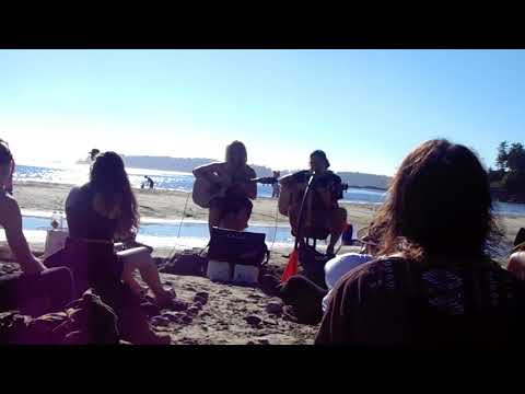 The Comfortably Sauvage