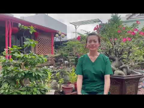 Bệnh U Bướu, Quai Bị ( Trừ Bướu Cổ)