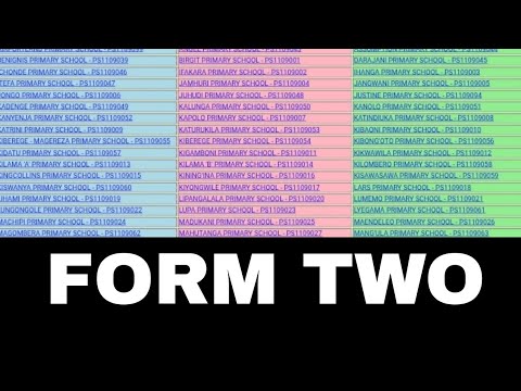 ANGALIA MATOKEO YA KIDATO CHA PILI 2025/2026(NECTA) FTNA RESULTS FORM TWO 