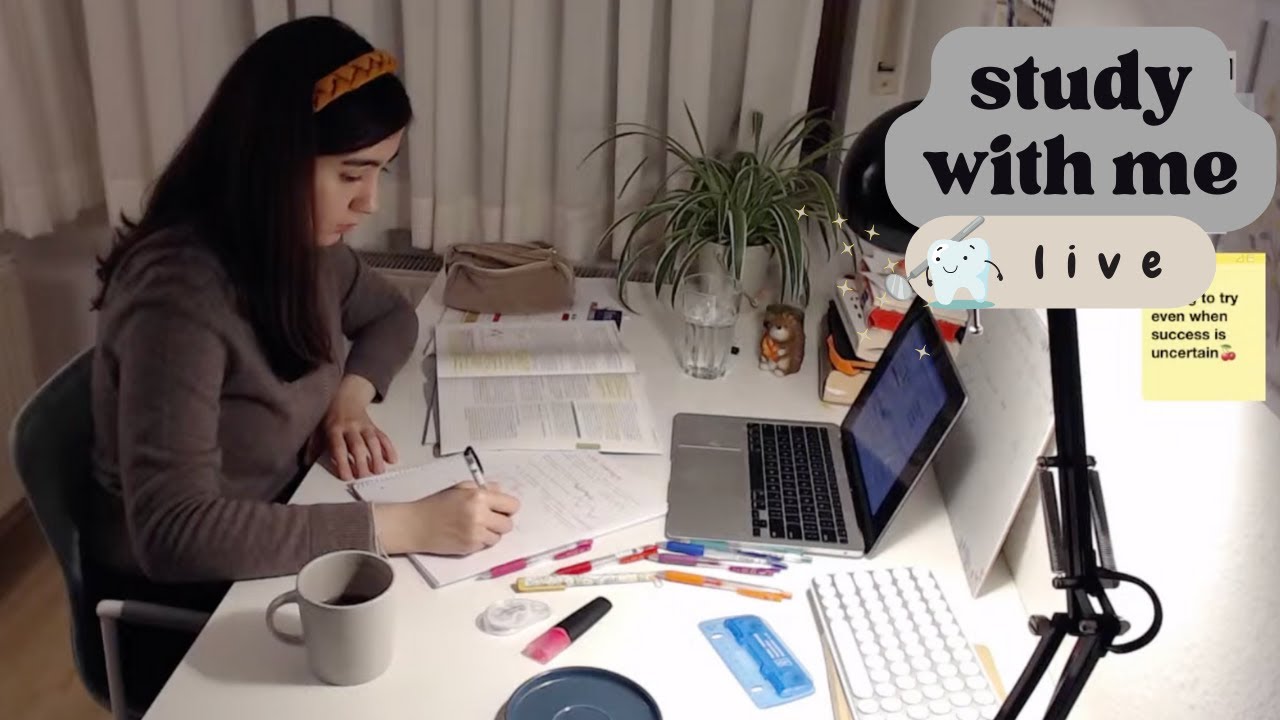 Study with me live 8 hours 🌧️| dentistry student 🦷