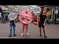 Voorbijgangers schrikken van boodschap van pratende xtc-pil in Utrecht [RTV Utrecht]