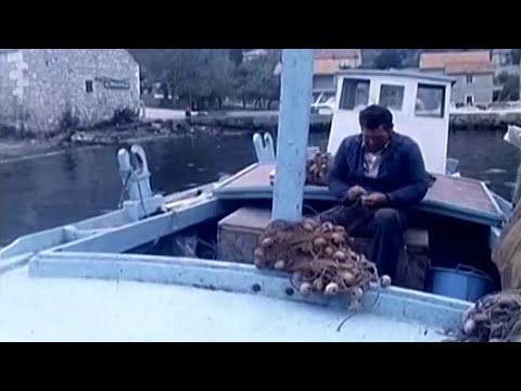 Ribari sa Jadrana - Grupa Dalmatinaca Petra Tralića