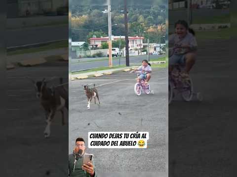 Ojalá Los Abuelitos Fueran Eternos ✨️🫶 #kids #memes #shorts #viralvideo